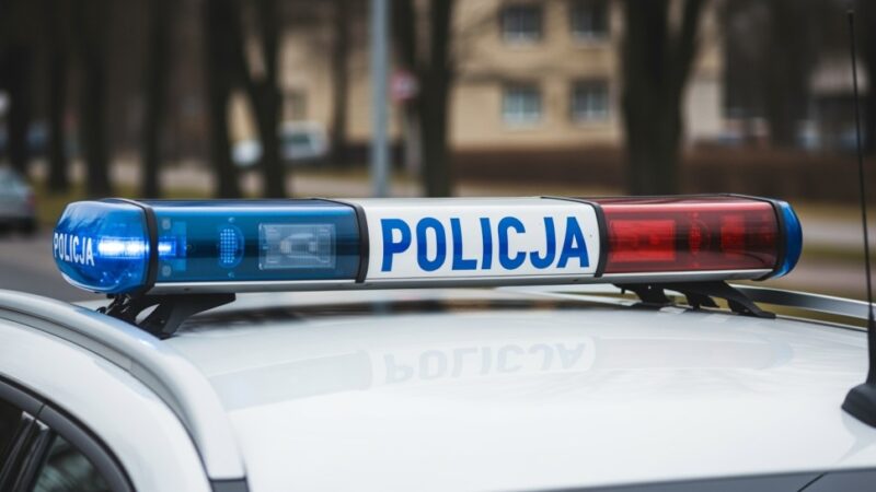 Walka z kradzieżami choinek – Policja i Straż Leśna w akcji