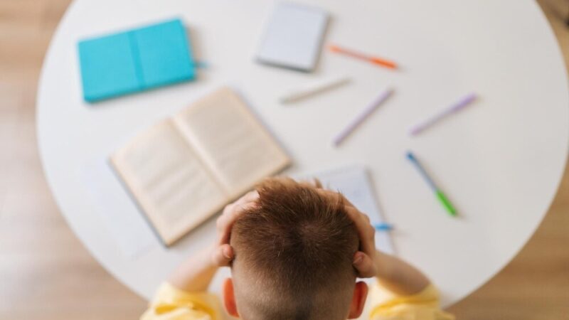 Oliwia Wojtas z Kalisza Pomorskiego nagrodzona w ogólnopolskim konkursie edukacyjnym