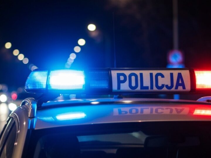 Kłusownictwo: przestępstwo przeciwko naturze i społeczeństwu