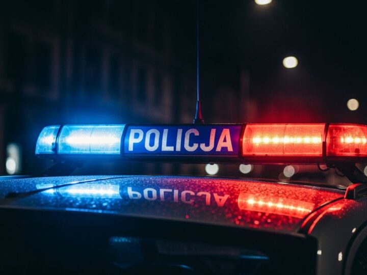 POLICJA NA TROPIE: OGÓLNOPOLSKA AKCJA POSZUKIWAWCZA ZATRZYMUJE 95 OSÓB